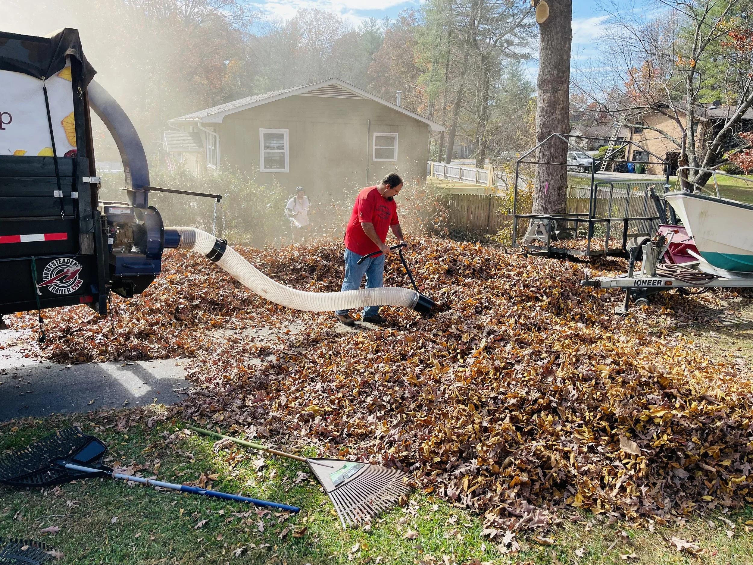 Leaf Removal in Owasso example 1
