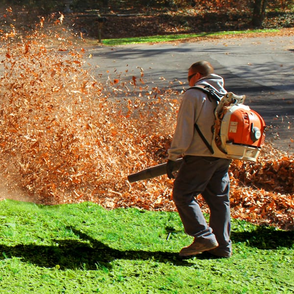 Leaf Removal in Owasso example 4