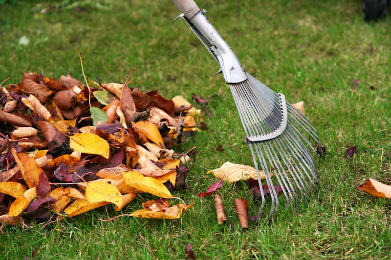 Leaf Removal in Owasso example 5