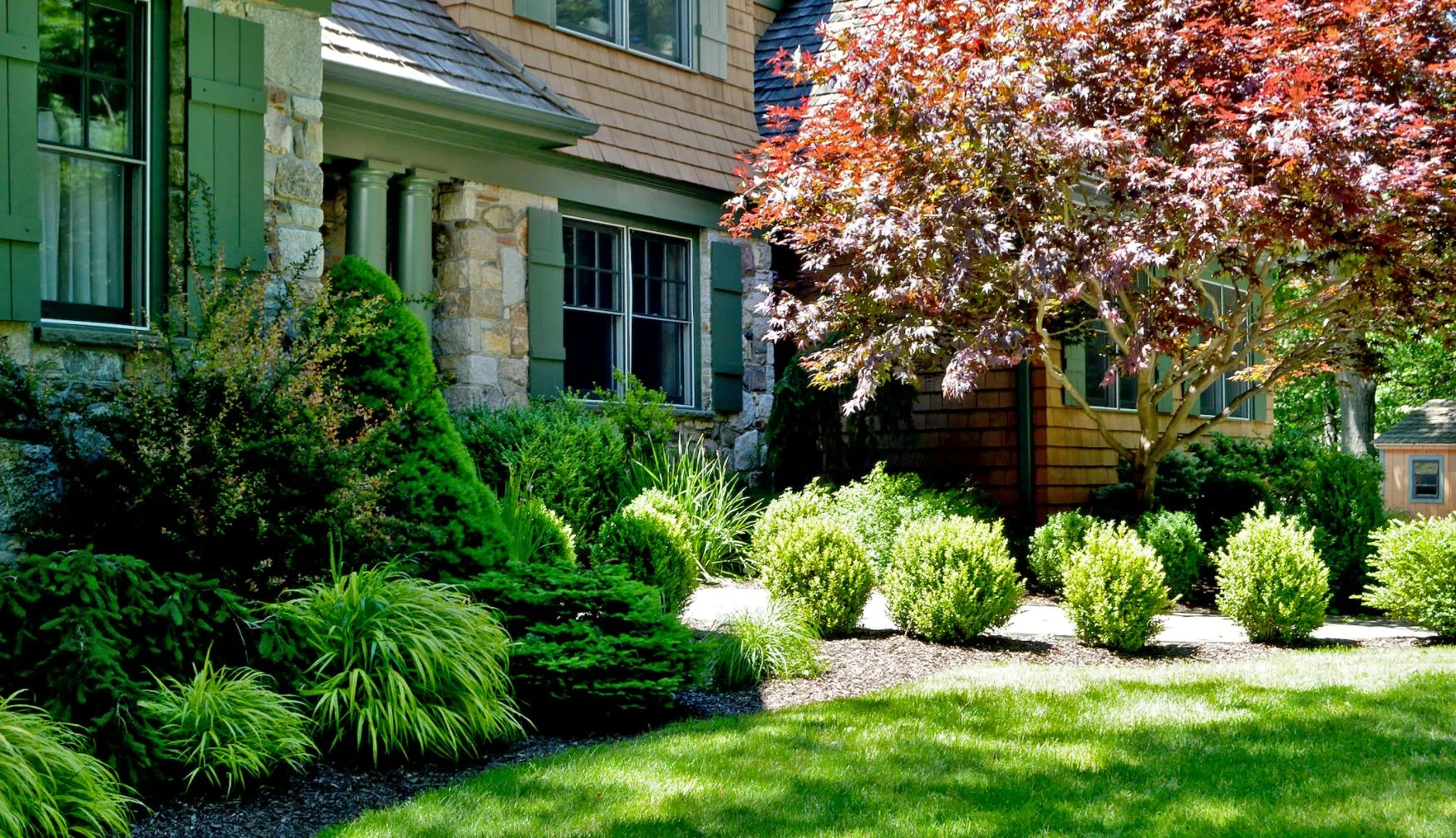 Tree & Shrub Planting in Broken Arrow example 1