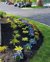 Tree & Shrub Planting in Broken Arrow example 7