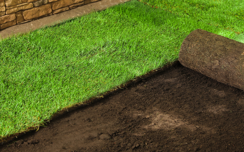 Sod Installation in Broken Arrow example 1
