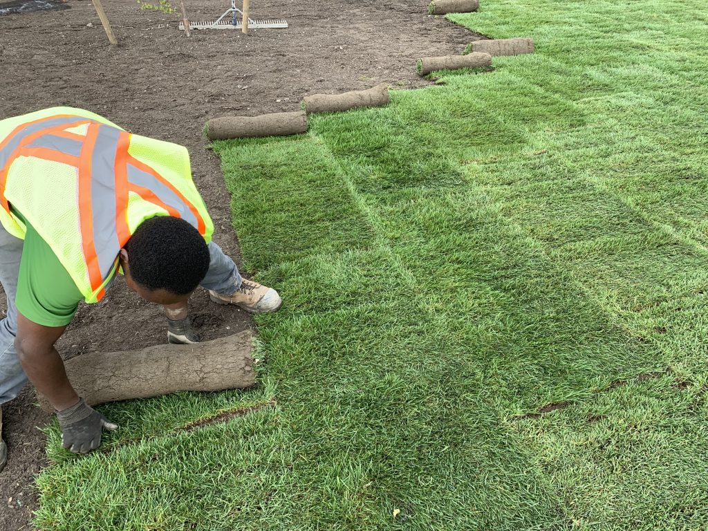 Sod Installation in Broken Arrow example 2