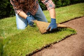 Sod Installation in Broken Arrow example 4