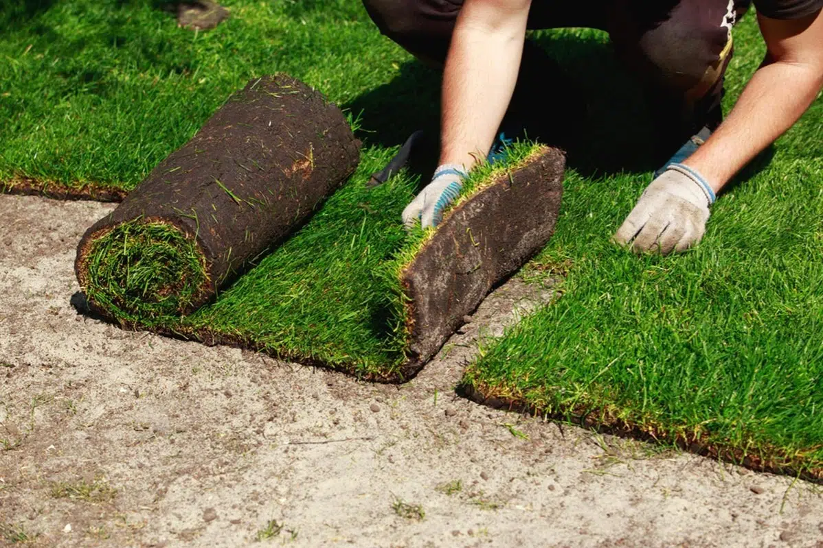 Sod Installation in Broken Arrow example 5